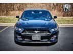 Thumbnail Photo 8 for 2017 Ford Mustang GT